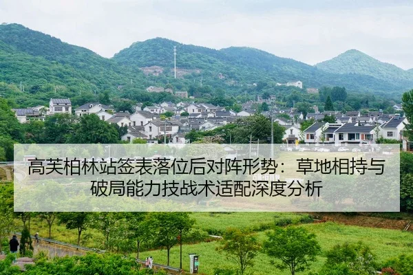 gao-fu-bo-lin-zhan-qian-biao-luo-wei-hou-dui-zhen-xing-shi-cao-di-xiang-chi-yu-po-ju-neng-li-ji-zhan-shu-shi-pei-shen-2-256.jpg