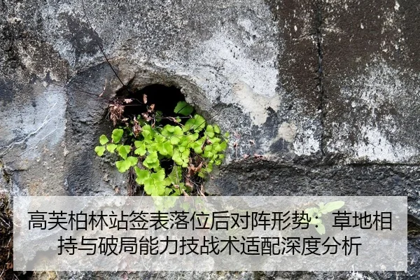 高芙柏林站签表落位后对阵形势：草地相持与破局能力技战术适配深度分析